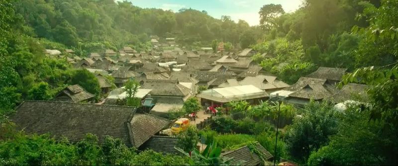 The Most Precious Place in Yunnan: Why Is It Jingmai Mountain?-5