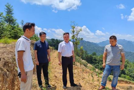 Vice Secretary Shen Xueming Leads a Special Research on the Development of the Tea Industry in Mengshan County-2