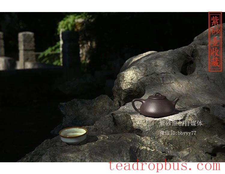 Opening Your Mouth Reveals You're a Novice! Turns Out, There's an Art to Asking Questions When Buying a Teapot!-3