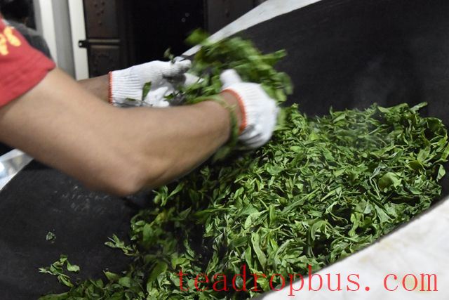 What details should be paid attention to during the fixation process of Pu'er tea?-3