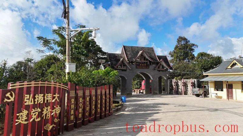 Lao Banzhang: Green Waters and Green Mountains Pave the Path to Happiness; Civilized Tea Village Welcomes a New Life-1
