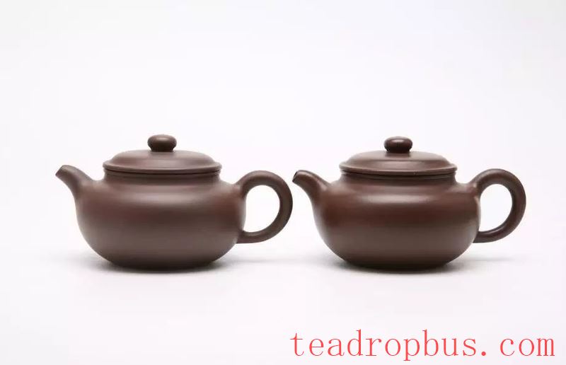 Nourishing a Teapot: How Long Does It Take to See Results?-5