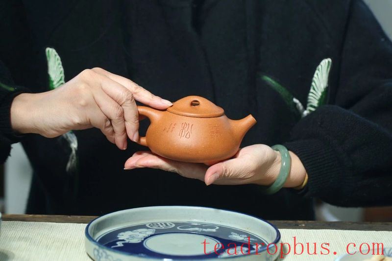 What's the Difference Between a Novice and an Experienced Player in Enjoying Purple Clay Teapots?-2