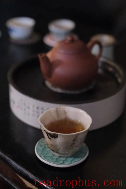 Typhoon Tea-Tasting Guide-5