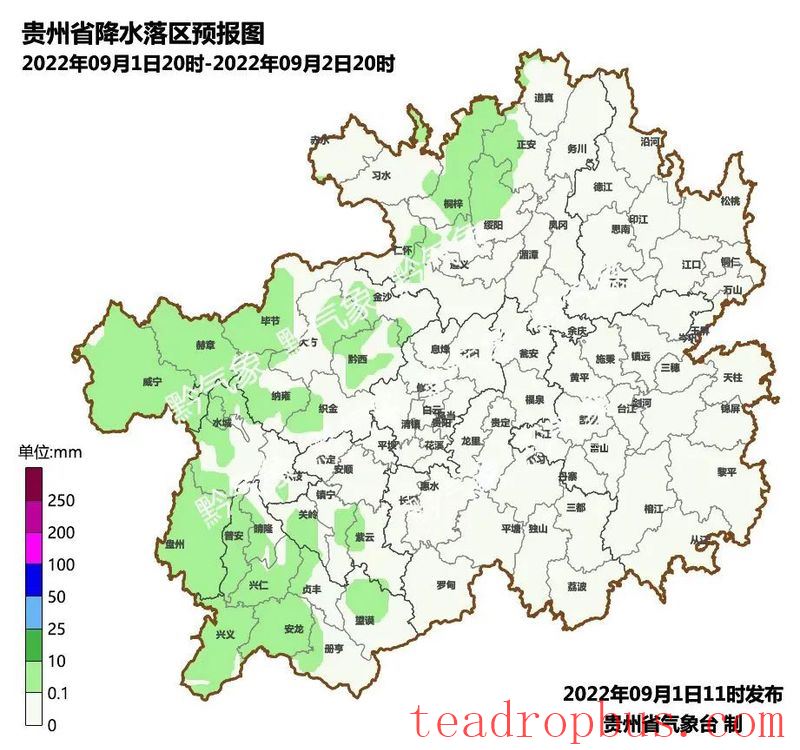 Technical Measures for the Recovery of Tea Gardens Affected by Drought-5