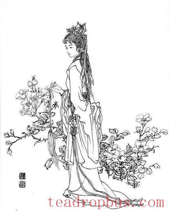 Li Ye, China's First Female Tea Artisan-4