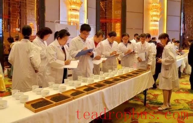 How is the Liubao Tea Flavor Wheel Created?-3