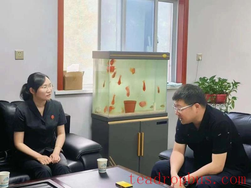 Shangnan Court Supports Tea Industry Development and Optimizes the Business Environment Under the Rule of Law-5