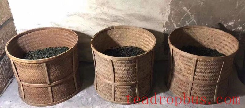 The Traditional Skills for Producing Anxi Tieguanyin Tea Successfully Included in the UNESCO Representative List of the Intangible Cultural Heritage of Humanity-10