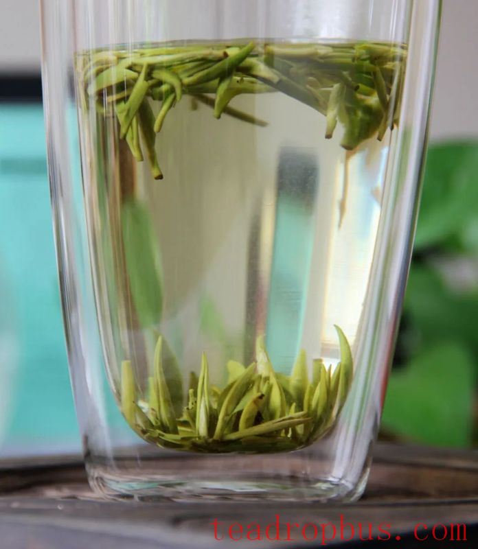I must say, the fragrance of green tea brewed in a gaiwan far exceeds that of a glass cup!-9