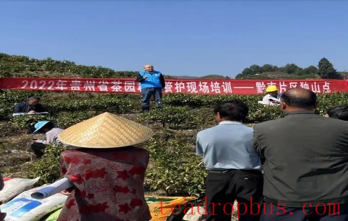 Winter Management Highlights: Tea Gardens Engaged in Autumn-Winter Management Training-9