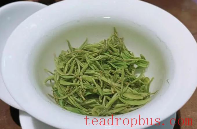 Guzhang Maojian Tea: A Thousand-Year Legacy of the Finest Tipped Tea-2