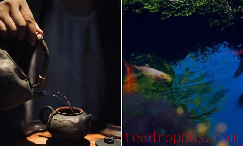 Is it Good to Steep Pu'er Tea with Boiling Water Directly?-4