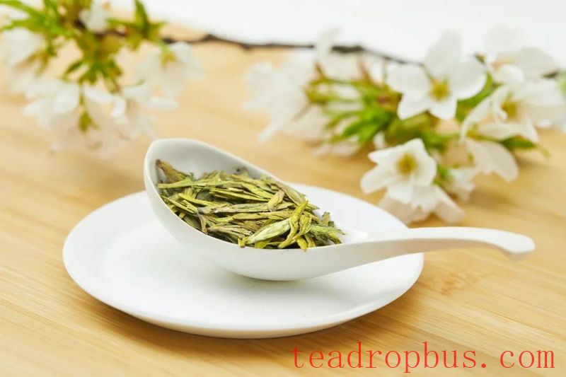 A Cup of Longjing Tea, Sipping the Verdant South!-1