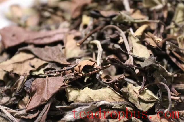 How to Appreciate the Aroma of White Tea-2