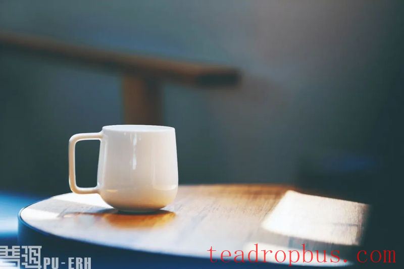 Empirical Science: Is Tea the Remedy for All Ills?-1