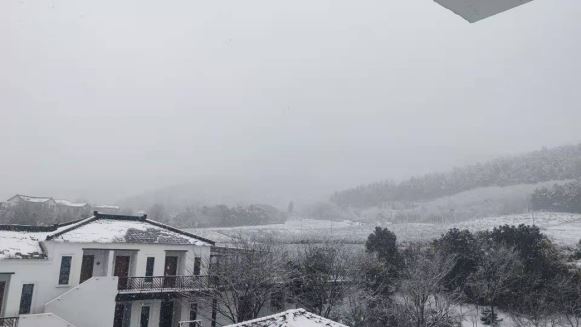 Snowstorms in the Jiangsu-Zhejiang-Jiangxi Region: What Impact on Tea Production and How to Respond?-8