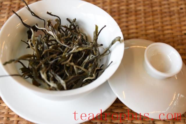 What is the appropriate water-to-tea ratio for raw Pu'er?-1