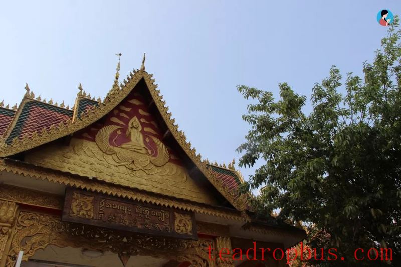 How Can One Claim to Love Tea Without Understanding Bulang Mountain?-3
