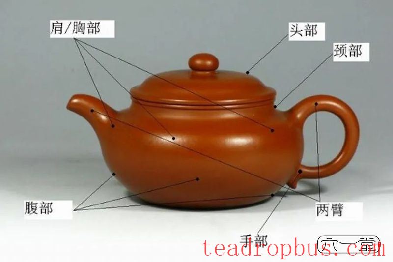Don't know how to appreciate a zisha teapot? 28 images interpret it for you in detail!-10