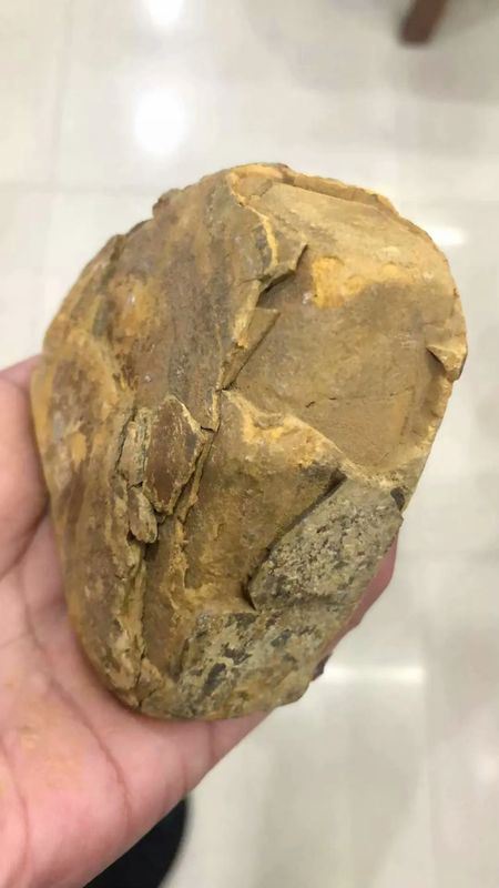 The Rare Gem in Purple Clay Mud—Stone Yellow + Stone Red-1