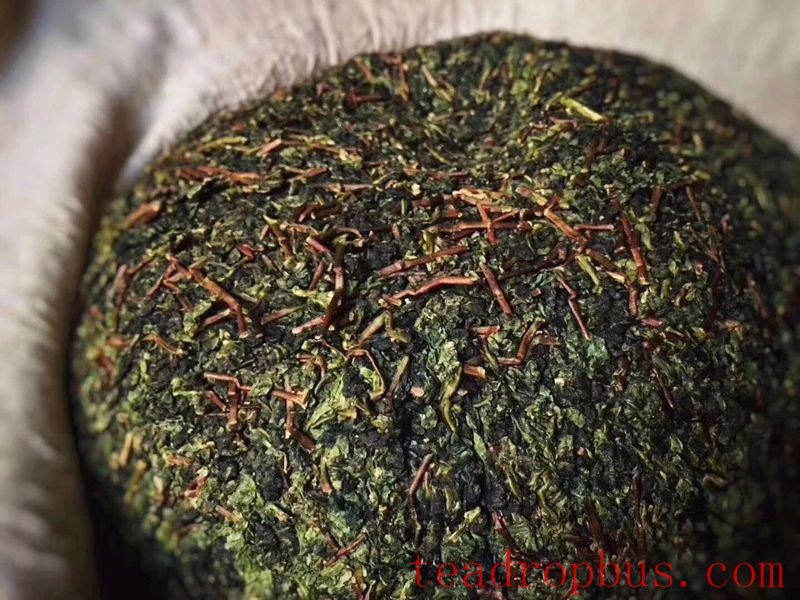 Unveiling the Initial Processing Techniques of Anxi Tieguanyin-8