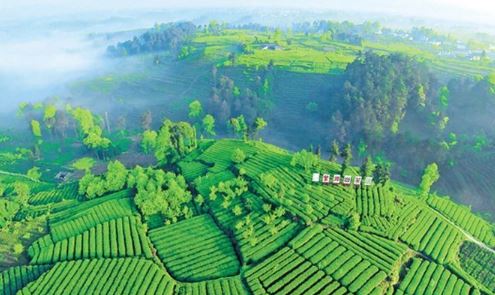The Legend of Mount Mengding – A Sacred Mountain of World Tea Culture-1