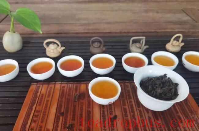 Tasting Old Arbour Shuixian: Start with the 