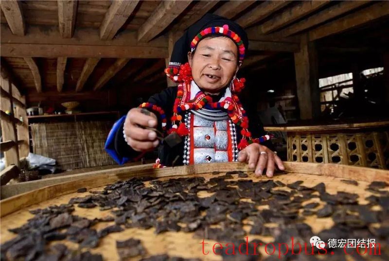 International Tea Day on May 21: Experience Diverse Tea Drinking in Yunnan-6