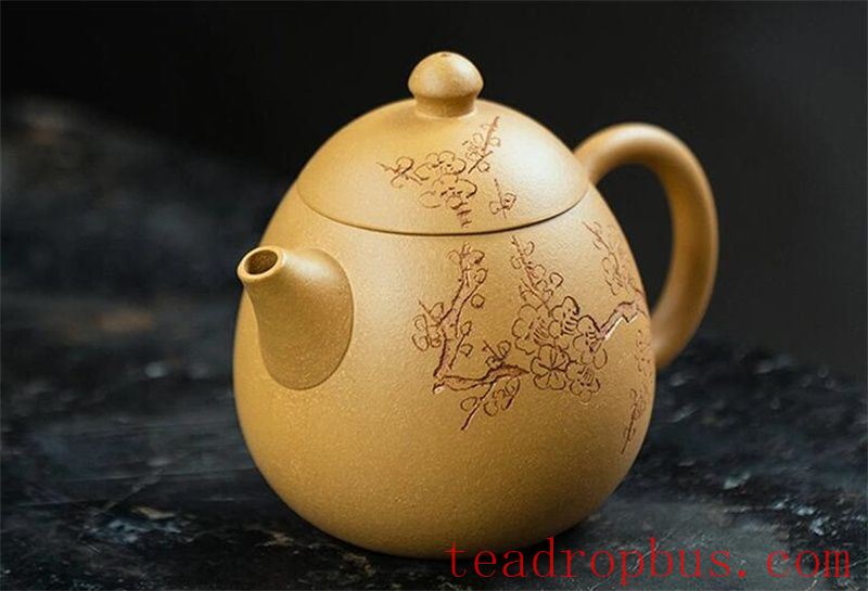 Zisha Teapot: For Beginners, How to Enjoy a Zisha Teapot?-1