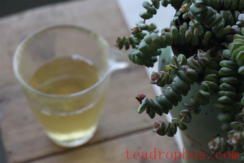 A Pot of Clear Tea, Savoring the Multifaceted Life-3