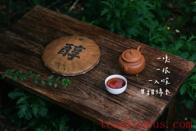 What Tea to Drink on the Start of Autumn?-3