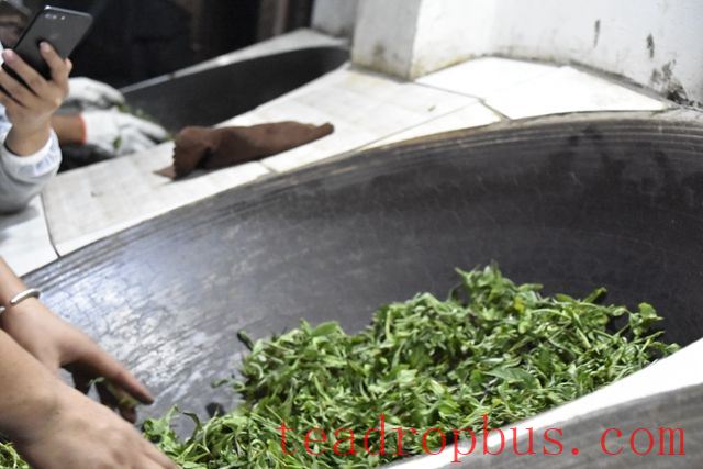 The Purpose of Fixation in Pu'er Tea-3