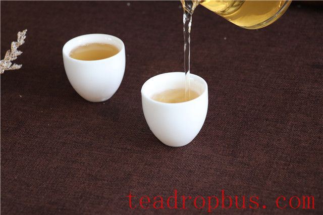 Sipping Tea Loudly: Rude or Professional?-2