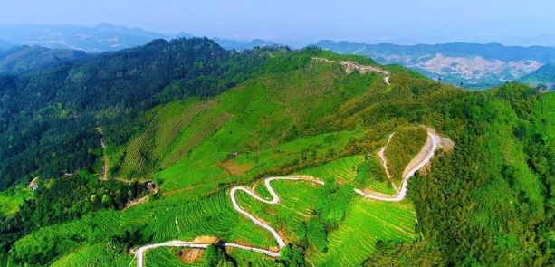Exploring the Timeless Beauty of East Mountain for Longevity, Savoring the Gifted Tea of Longevity Island-3