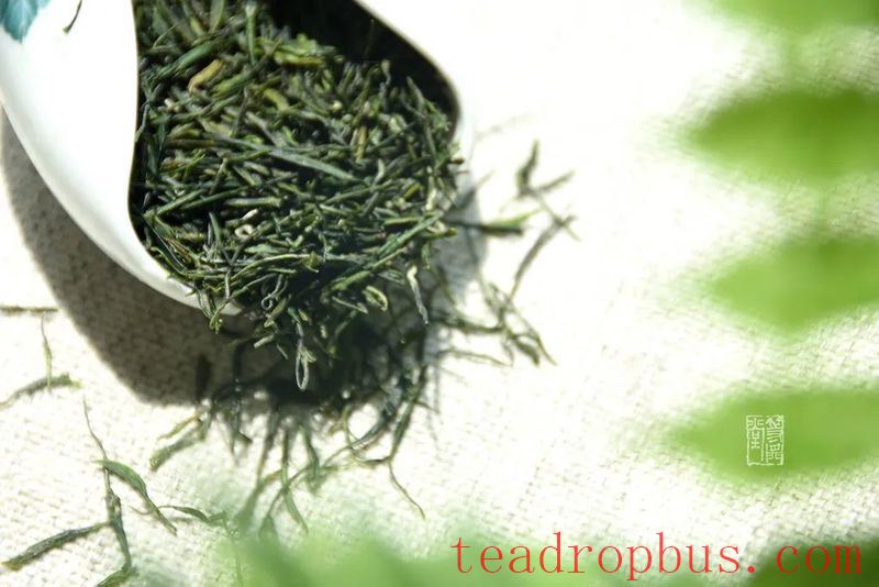 Green Tea is Best Enjoyed Fresh – Instead of Worrying About the Expiry Date, Learn How to Store It Properly!-1