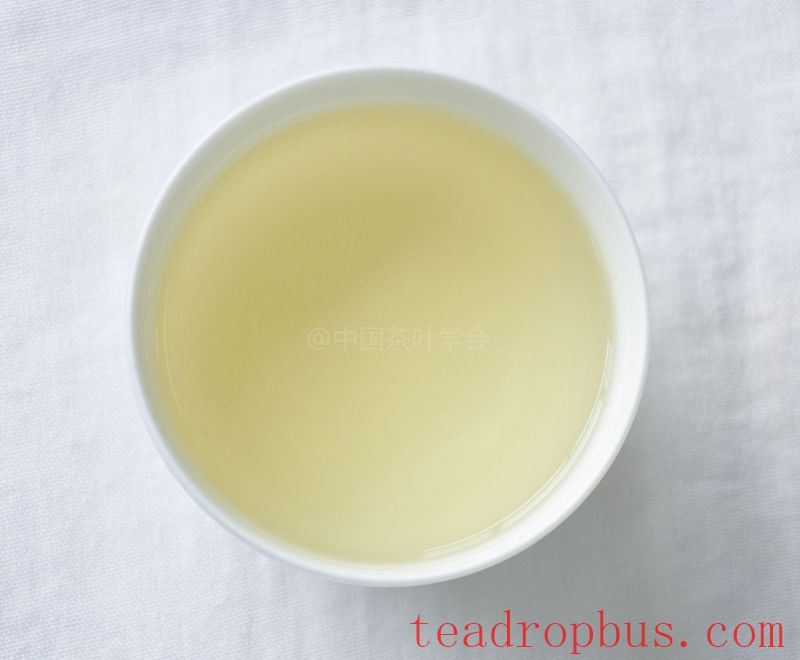 Intangible Cultural Heritage of Humanity: Traditional Chinese Tea Processing Skills - Green Tea Chapter 4: Biluochun, Xinyang Maojian, and Wuyuan Green Tea-4