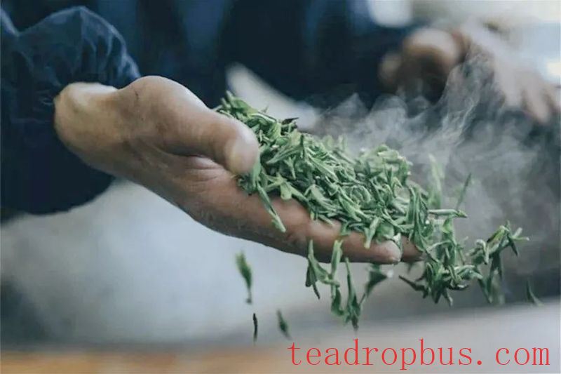 A Cup of Longjing Tea, Sipping the Verdant South!-5