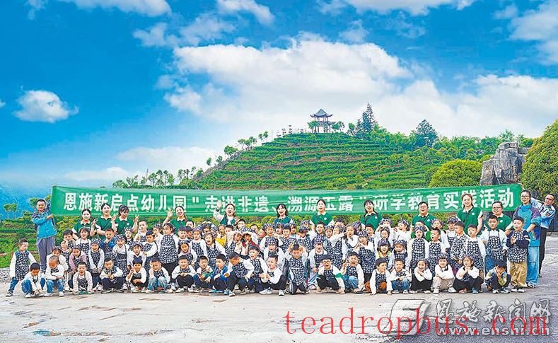 Displaying the Beauty of Ecological Diversity in Tea Mountains —— Behind the Scenes of Hubei Enshi Lanbei Yulü Taohuayuan's Selection as One of 