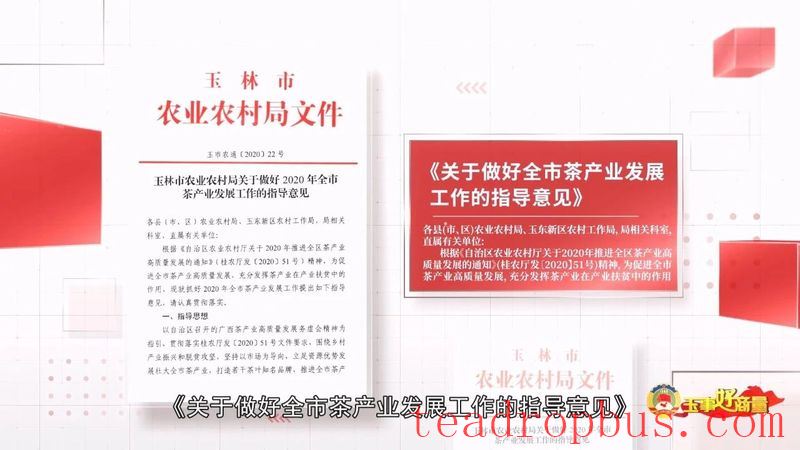 Political Advisory Delegate Suggestions: Build the Yulin Tea Brand and Develop and Expand the Tea Industry-3
