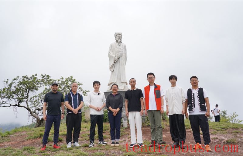 Mengla Tea · Tribute Tea Taste: Follow Influencers on a Tour of Ancient Tea Mountains, Savoring the Flavor of Mengla Tribute Tea-5