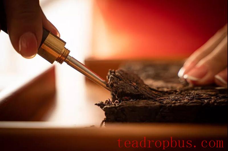 The Winter Solstice and How to Nourish Yourself with Tea-5