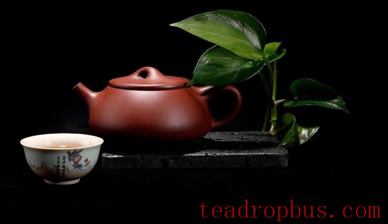 For the Sake of Your Kidneys, Please Stop Drinking Tea This Way!-5