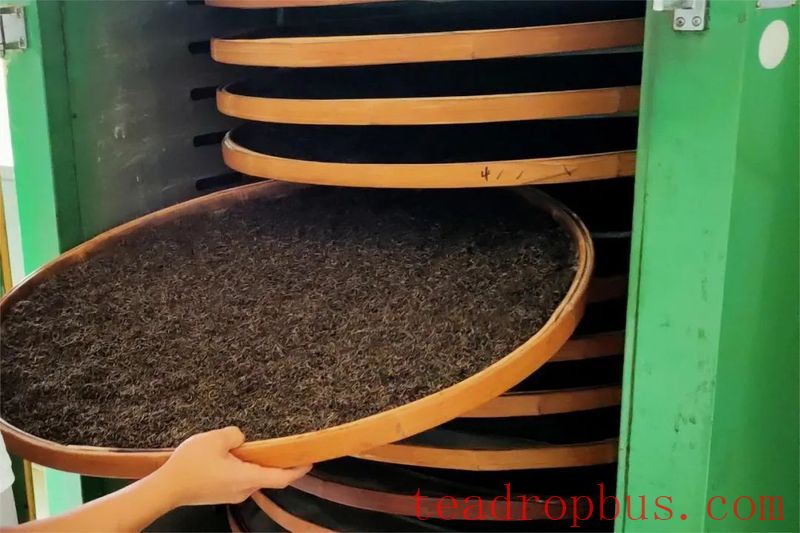 Traditional Chinese Tea-making Skills: Ning Hong Tea-6