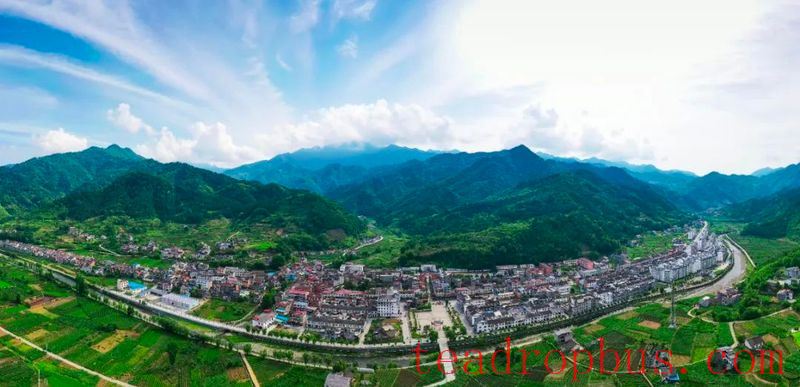 Wealth and Prosperity Through Tea: The Luohe Town Story - Turning the Chain into Gold with Thriving Industries-1