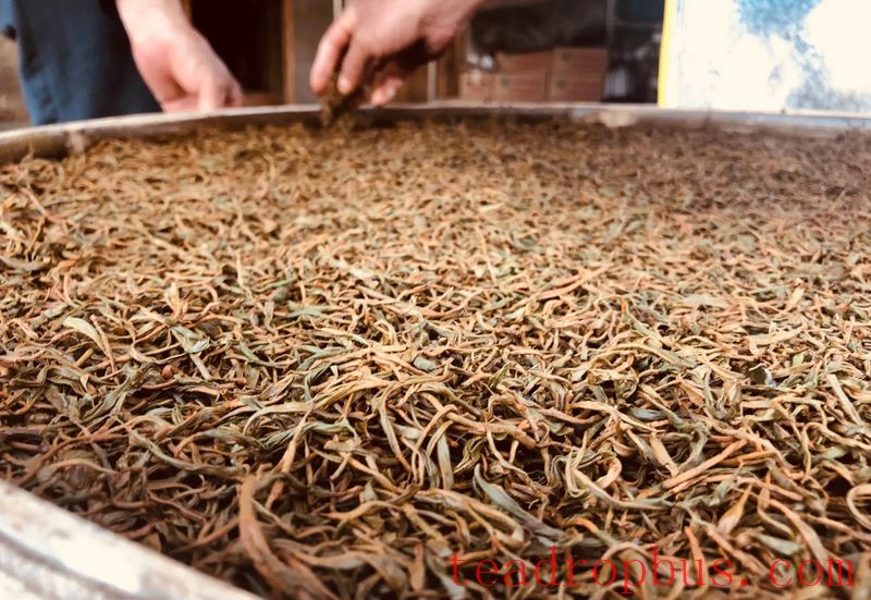 How Long Does Black Tea Generally Ferment?-2