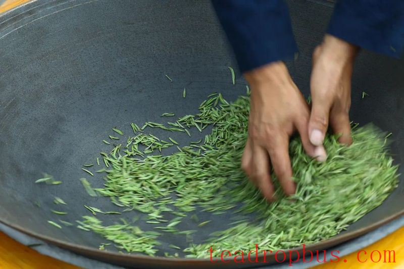 The People's Daily Applauds the Tea Industry in Southwestern Guizhou-2