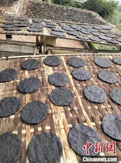 Exploring the Ancient Art of Sour Tea Making Among the Deang People in Yunnan-6