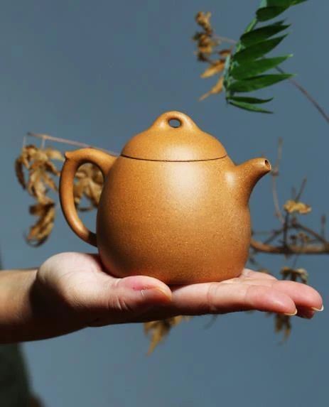 Pot Selection Tips Only Old Enthusiasts Know-5