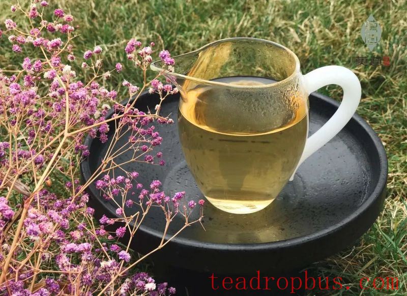 From Youth to Old Age, the Fluctuations of Time in the Aroma of Tea-2